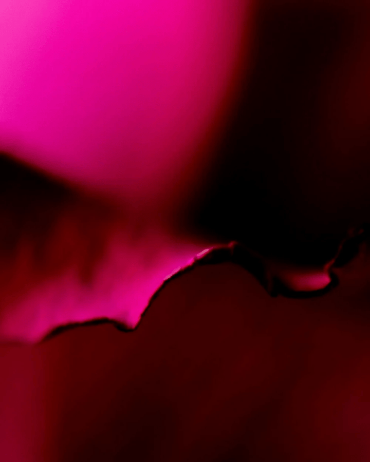 In Fabula - Blanda Beauty