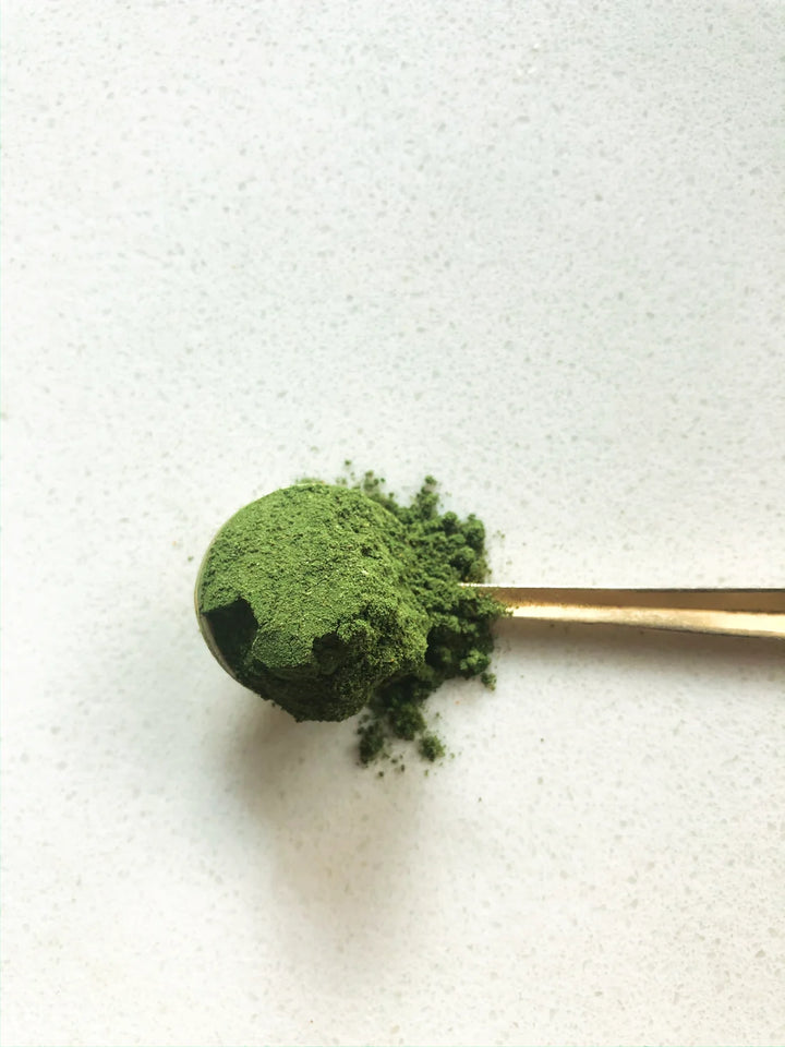 LIVER VITALITY Greens - Farbe des Pulvers