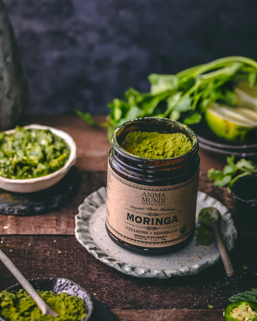 Grünes Bio Moringa Pulver im Glas
