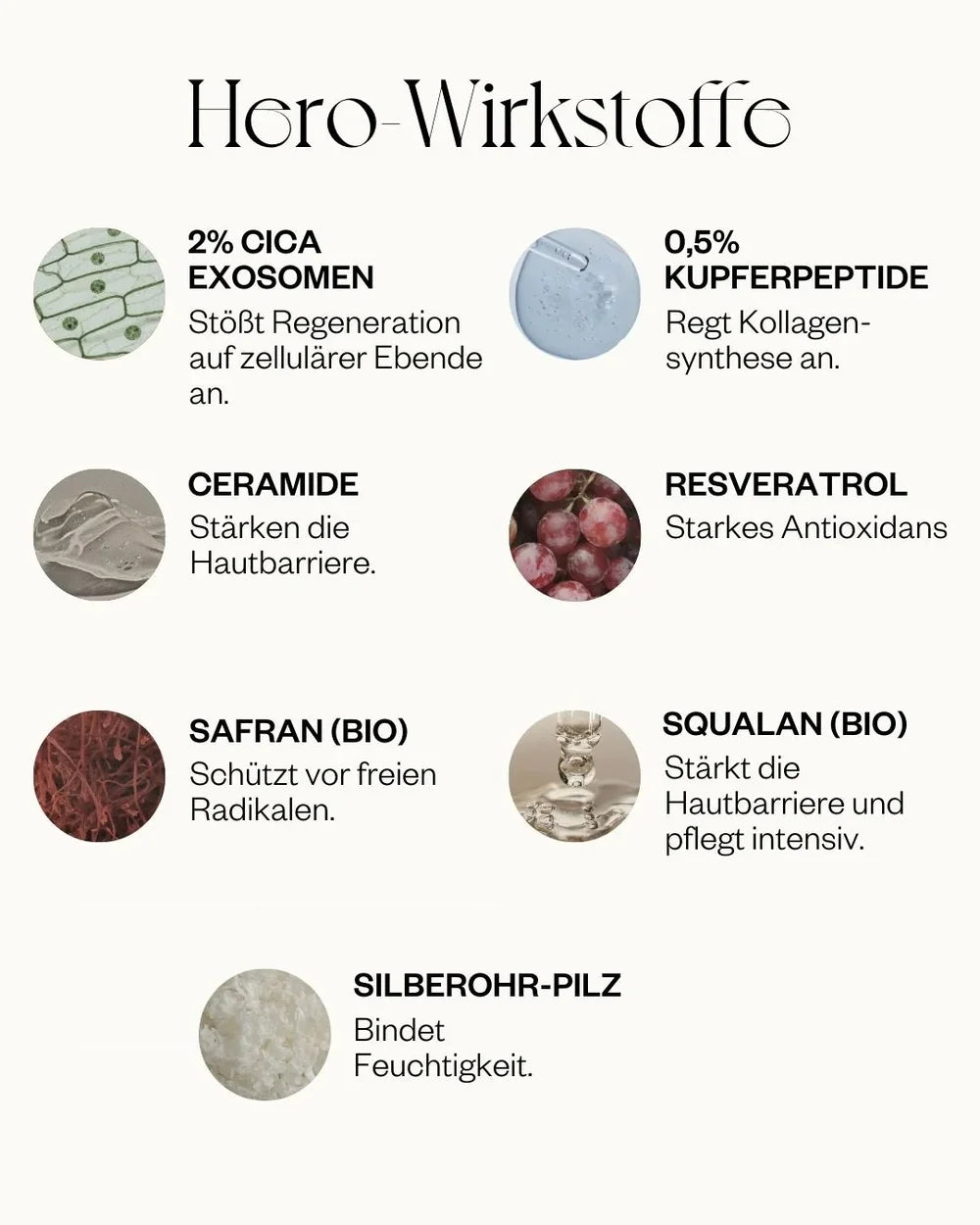 Die Hero-Wirkstoffe der Longevity-Creme