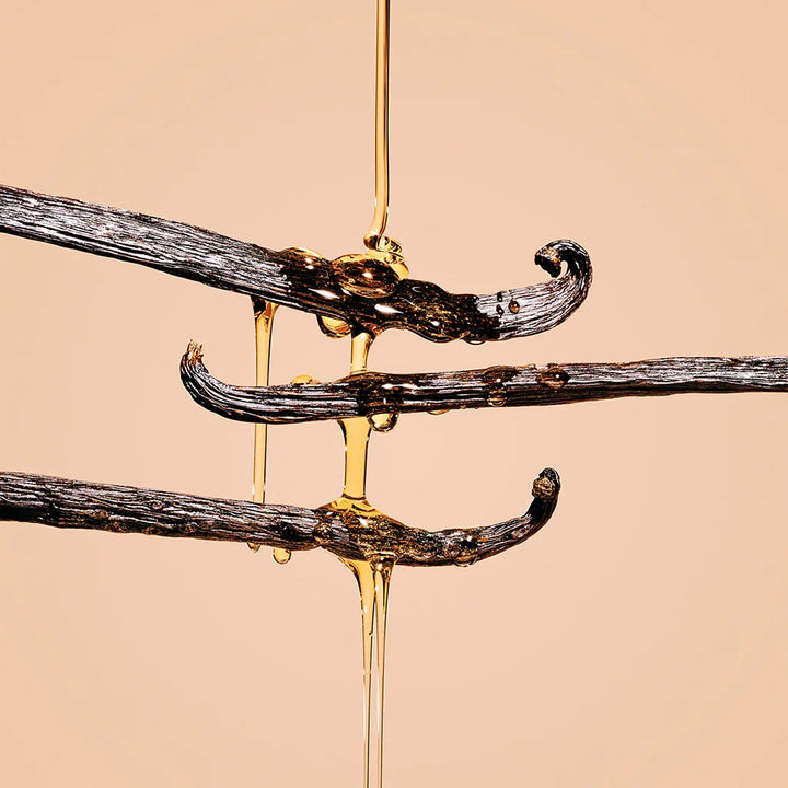 Vanilleschoten als Duftinspiration für Heretic Parfum Coeur Noir