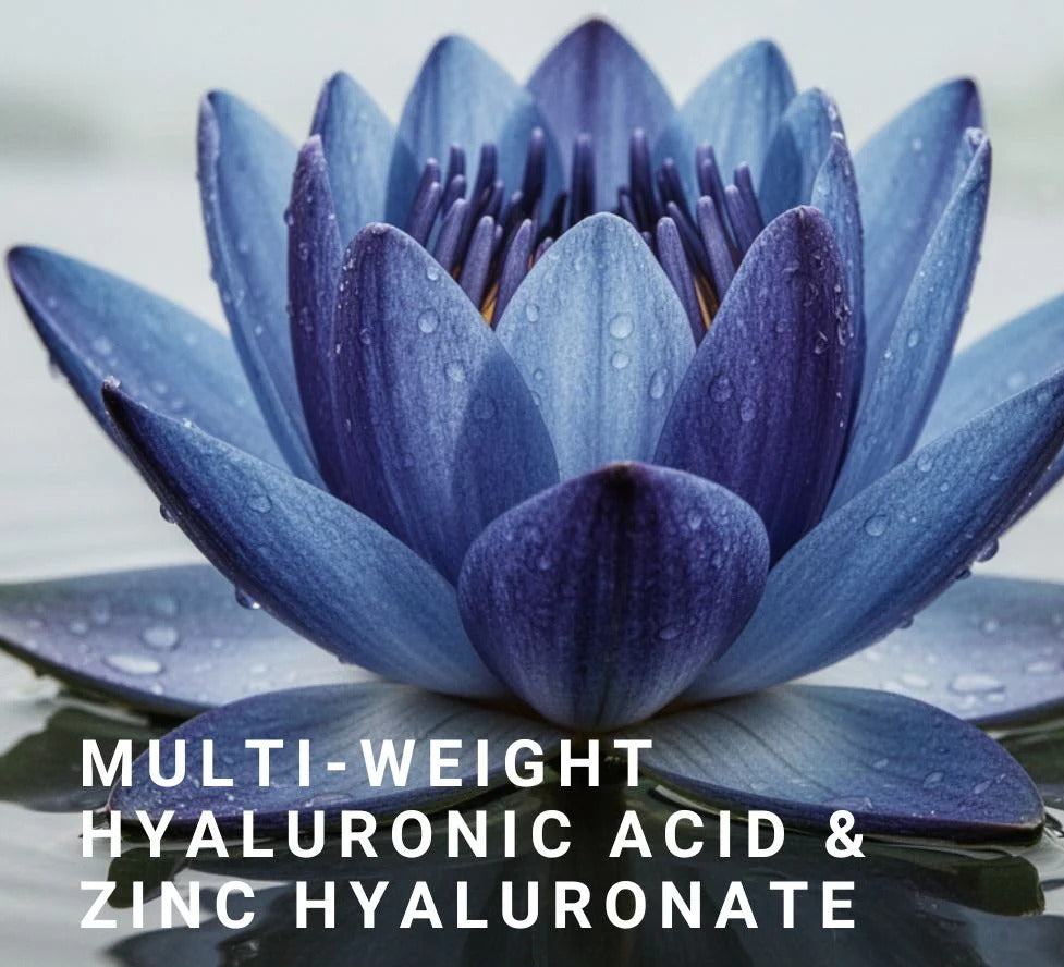 Blaue Lotusblüte als Visual für die hydratisierende Wirkstoffarchitektur des NAYA Cell Resilience Serums