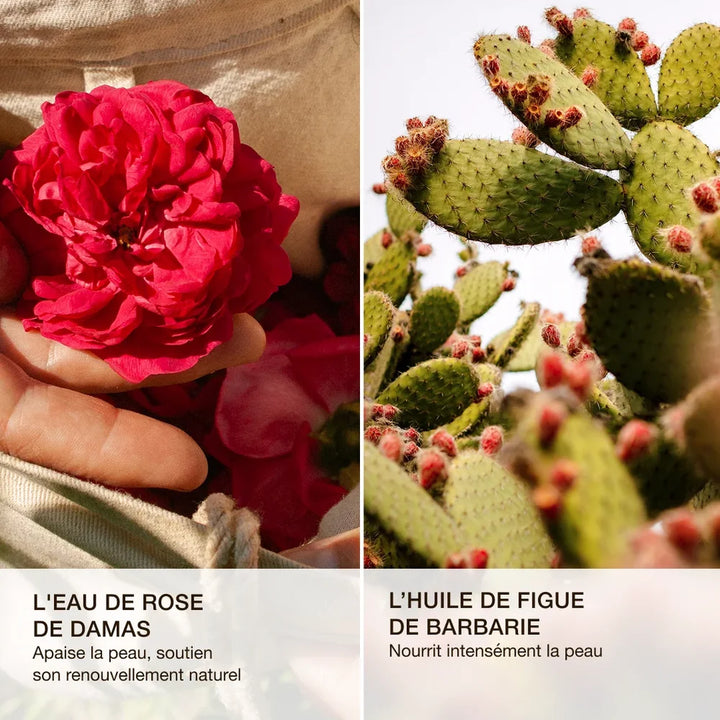 ODEN La Crème Repulpante mit Damaszener Rose und Kaktusfeige