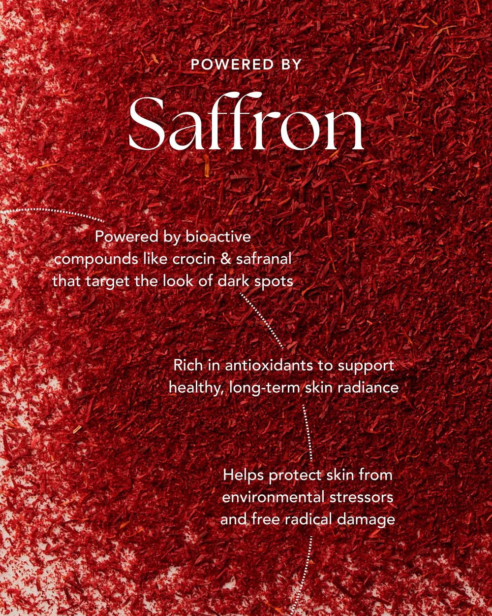 Safran als Signature-Wirkstoff des RANAVAT Brightening Saffron Cleansers