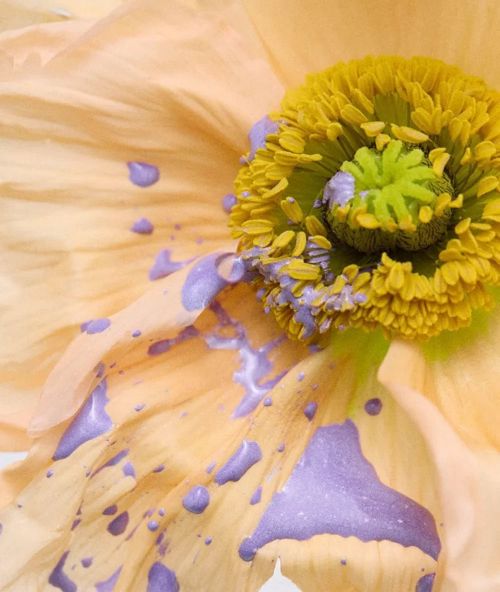 Flower Glyph Eau de Parfum - Blüten treffen auf Tinte