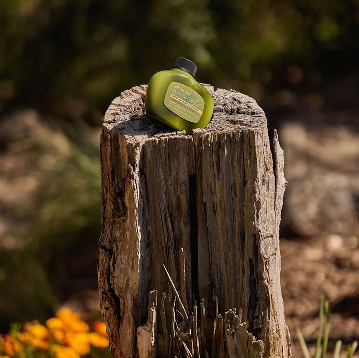 Antipodes Peach Freesia Smooth & Hydrate Shampoo auf Baumstumpf