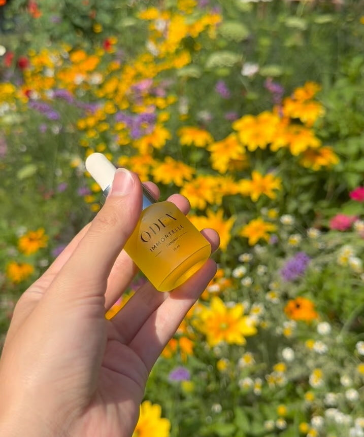 French Immortelle Oil 15 ml - Mood with Flowers