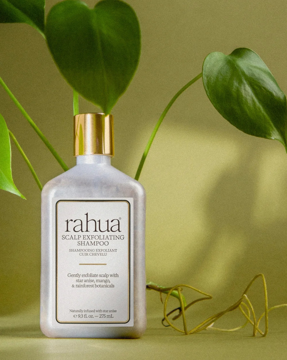 Rahua Scalp Exfoliating Shampoo mit grünen Blättern im Hintergrund