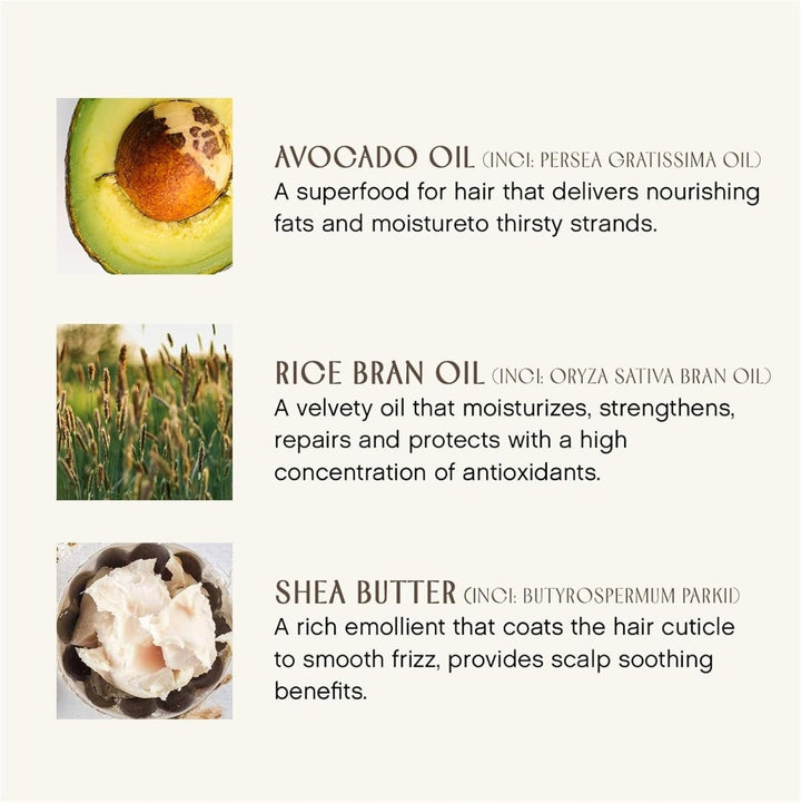 Color Radiance Daily Conditioner - inside
