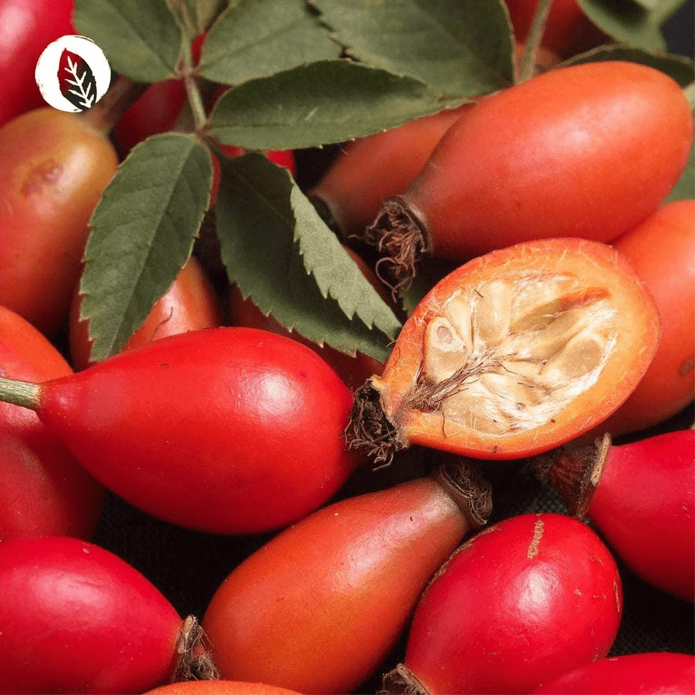 Eisen Kapseln 92,16 g - Blanda Beauty