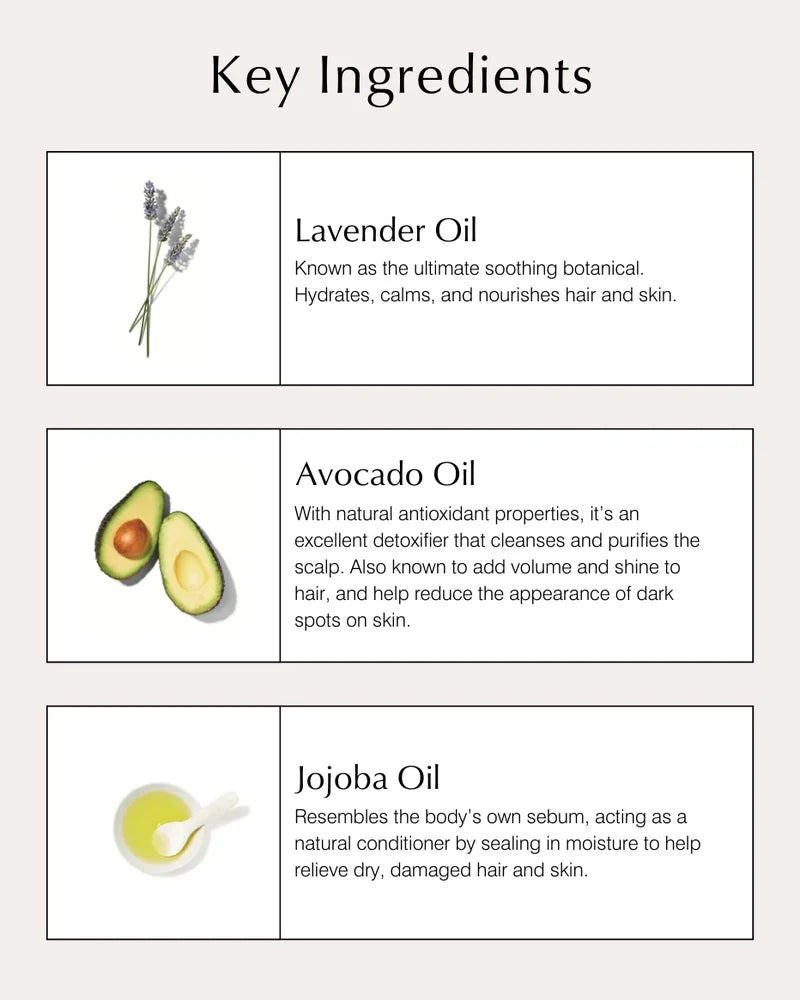 Deep Moisturizing Conditioner - Key Ingredients