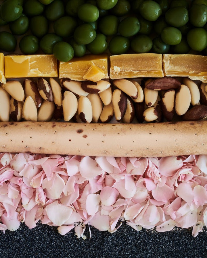 Ingredientes del bálsamo labial teñido