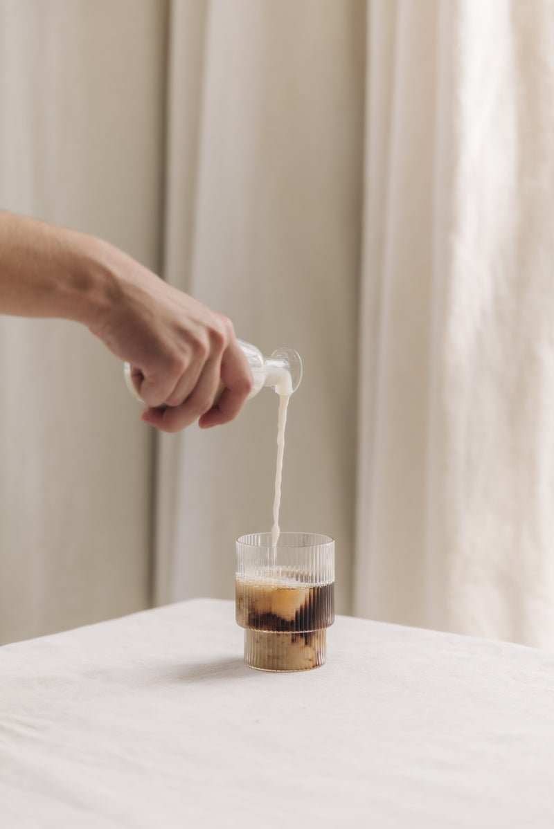 Kruut Magic Brew Planta Silvestre en Polvo - Café