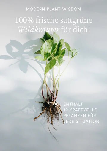 Kruut Oxymel Die Kleinen Natürlicher Kräuterauszug Kräuterwissen