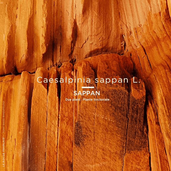 Lipstick 012 Le Rouge Braziline 4 g - Blanda Beauty