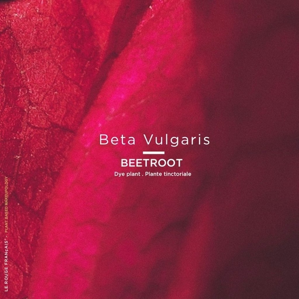 Lipstick 041 Le Rose Amarandy 4 g - Blanda Beauty