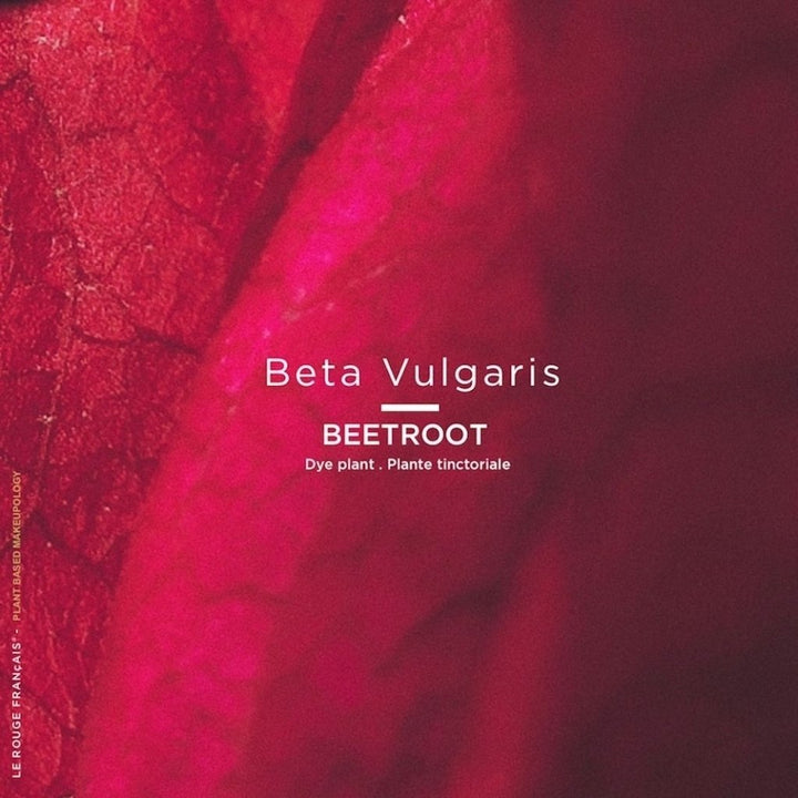 Lipstick 041 Le Rose Amarandy 4 g - Blanda Beauty