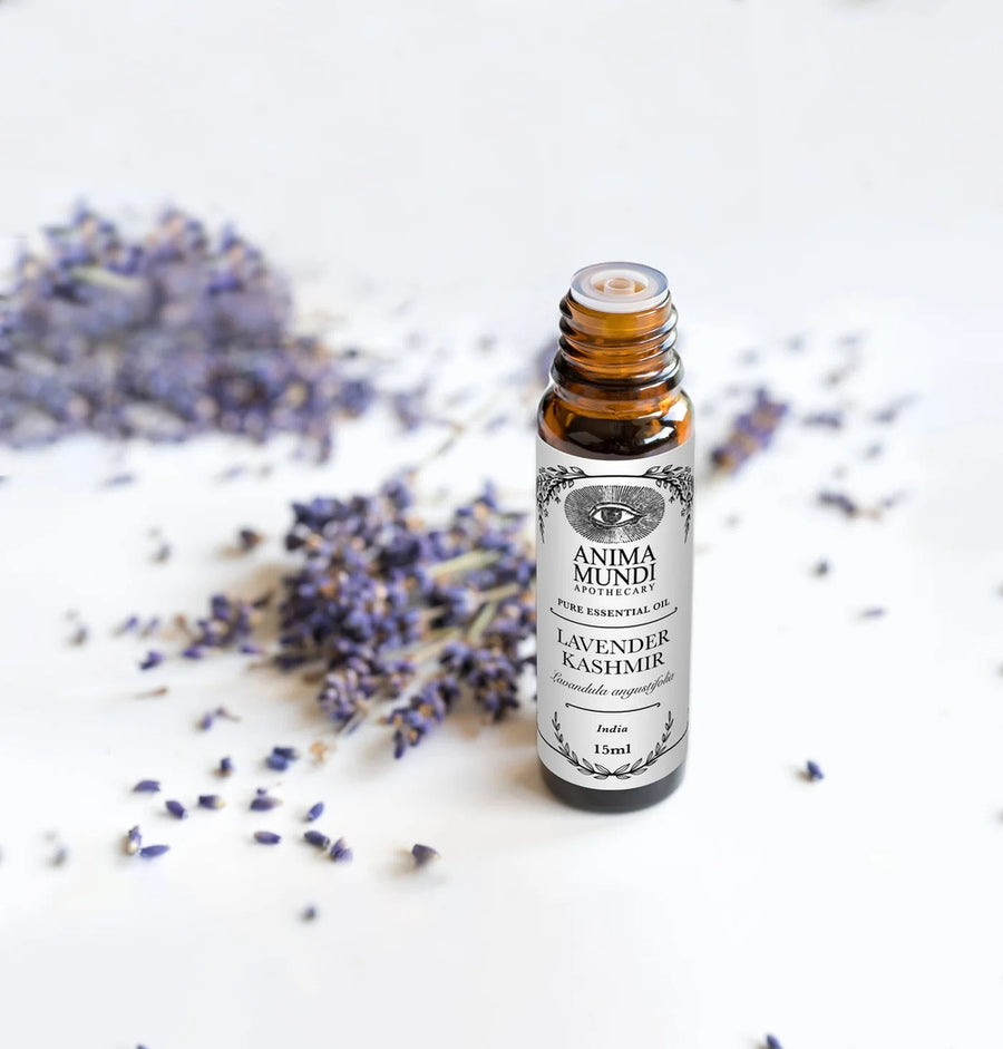 Lavender Kashmir Essential Oil | Sustainably Cultivated Mood