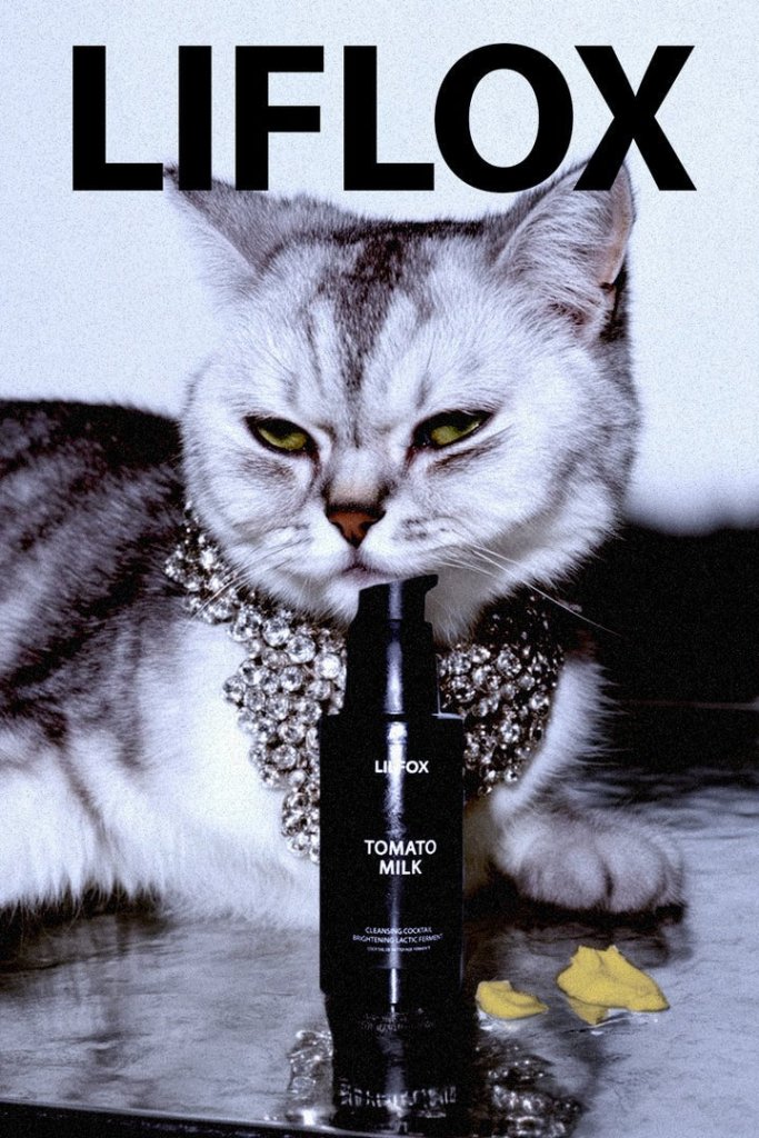 Lilfox Tomato Milk Cleanser - Mood Katze