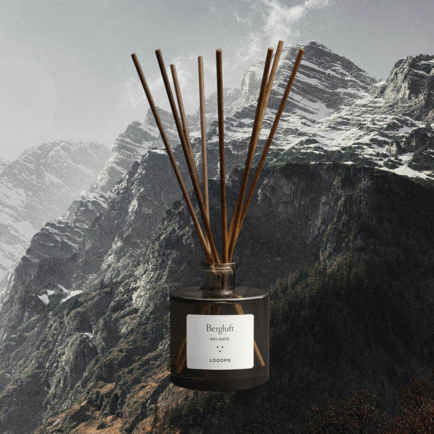 Mountain Air Fragrance Sticks Diffuser
