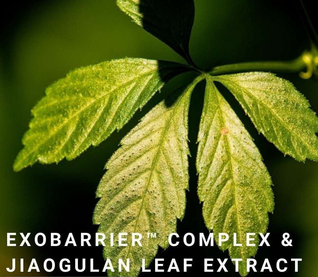 Exo Timeless Night Comfort 50 ml - Blanda Beauty