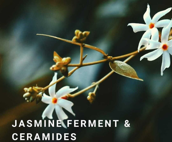 Exo Timeless Night Comfort 50 ml - Blanda Beauty