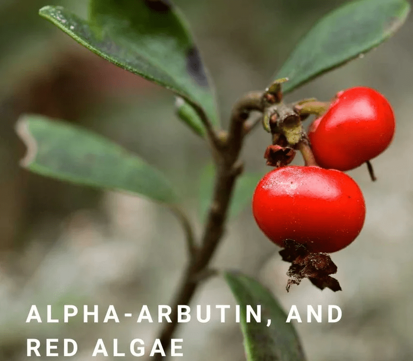 Exosomes Radiance Renewal Treatment 50 ml - Blanda Beauty