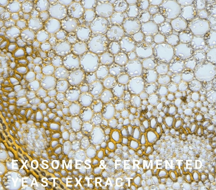 Exosomes Radiance Renewal Treatment 50 ml - Blanda Beauty