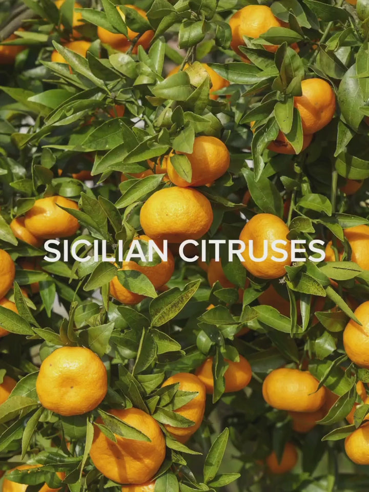 Hito - verschiedenen Duftnoten vorgestellt