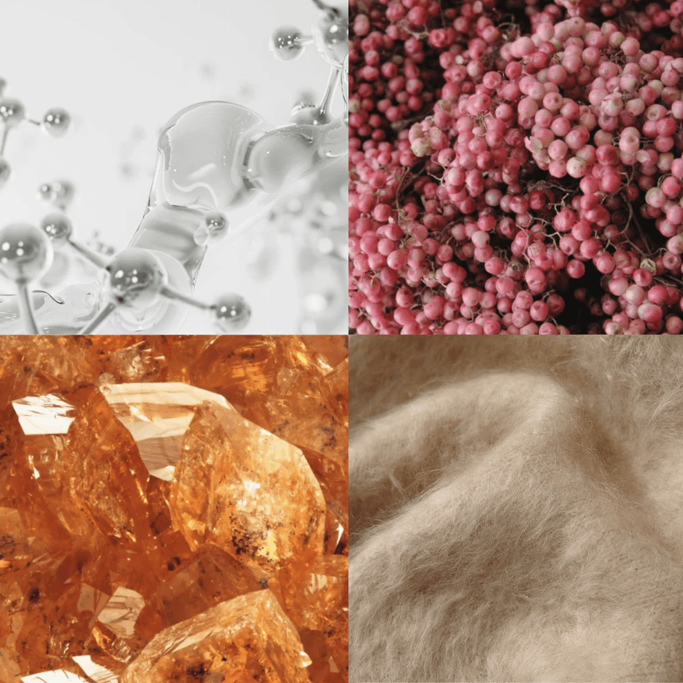 Last Resort Perfume Oil 10 ml - Blanda Beauty