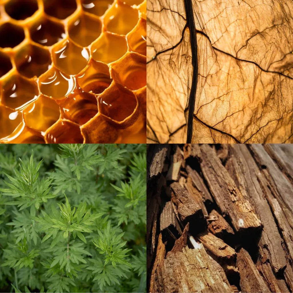 Lobby Boy Eau De Parfum 50 ml - Blanda Beauty