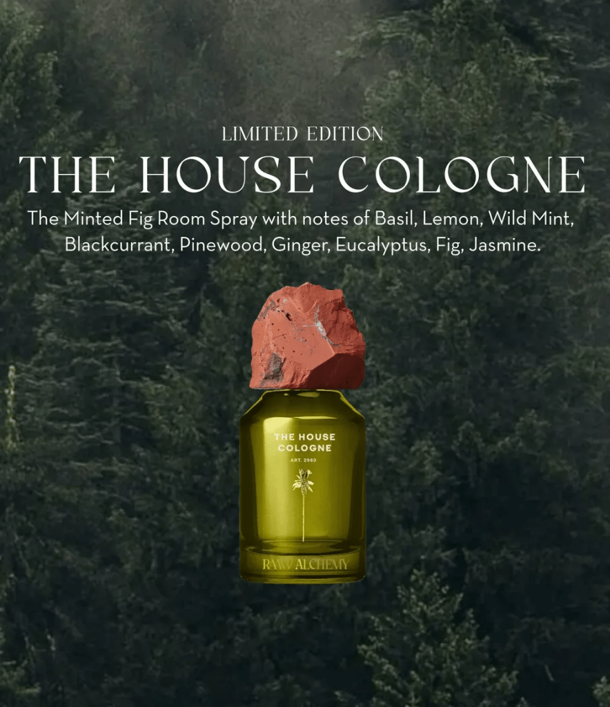 The House Cologne Room Spray 100 ml - Blanda Beauty