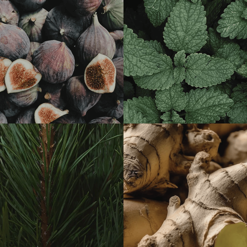 The House Cologne Room Spray 100 ml - Blanda Beauty