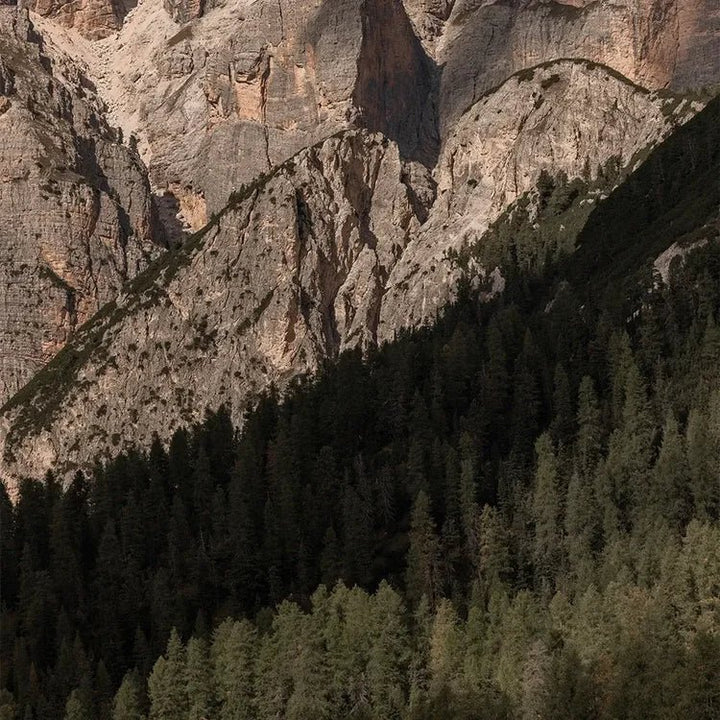 Südtirol Natur