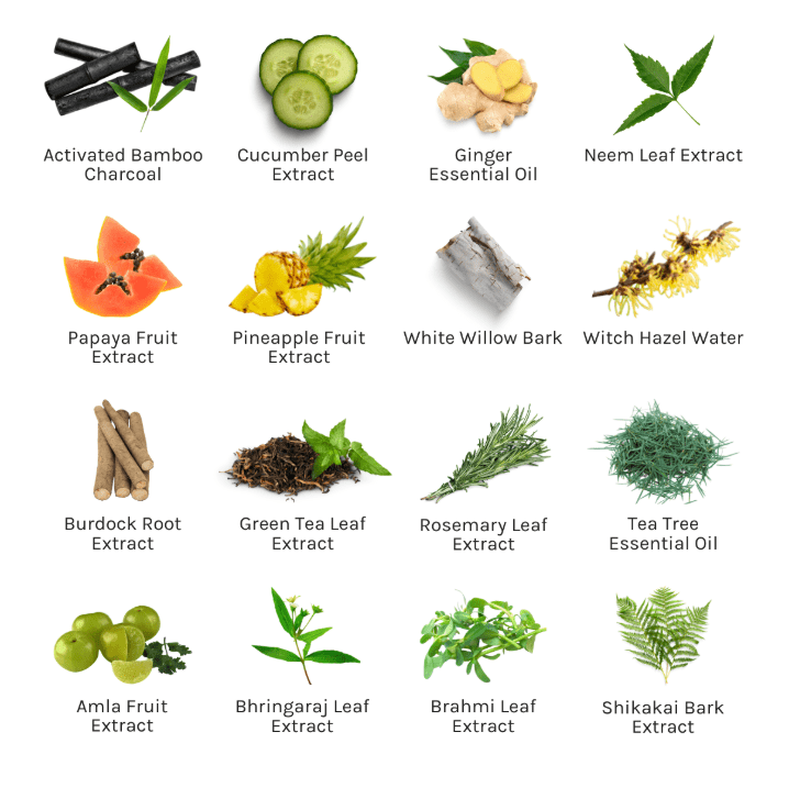 Charcoal Scalp Detox 120 ml - Blanda Beauty