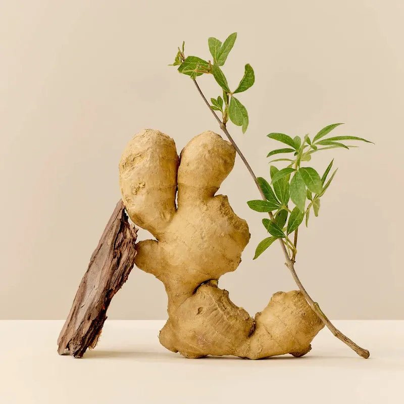 This Place The Hug Inhaltsstoffe - Mit Ingwer, Weihrauch, Capsaicin und Sandelholz