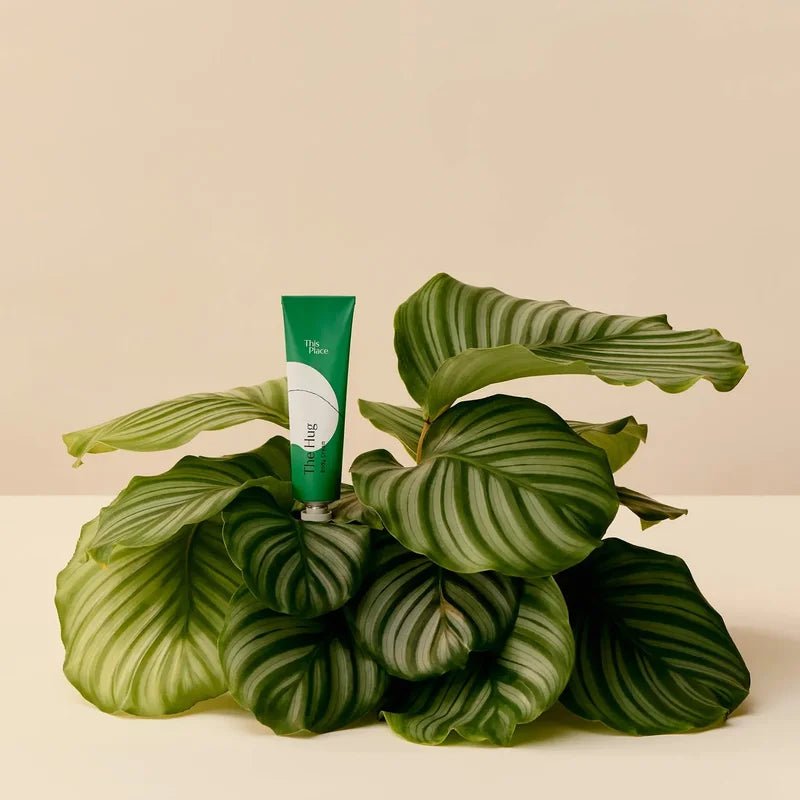 The Hug Mood with Plant