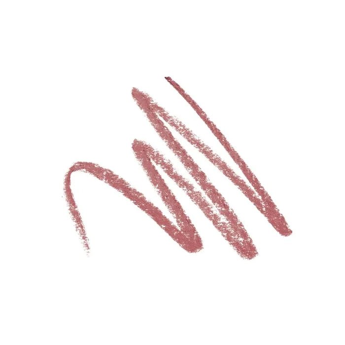Lustec Correcting Lipliner Powder Rose 06 Swatch