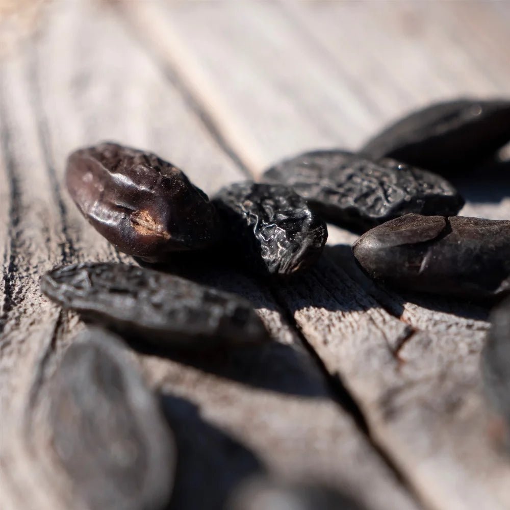 C3 - Fève Tonka Sésame - Blanda Beauty