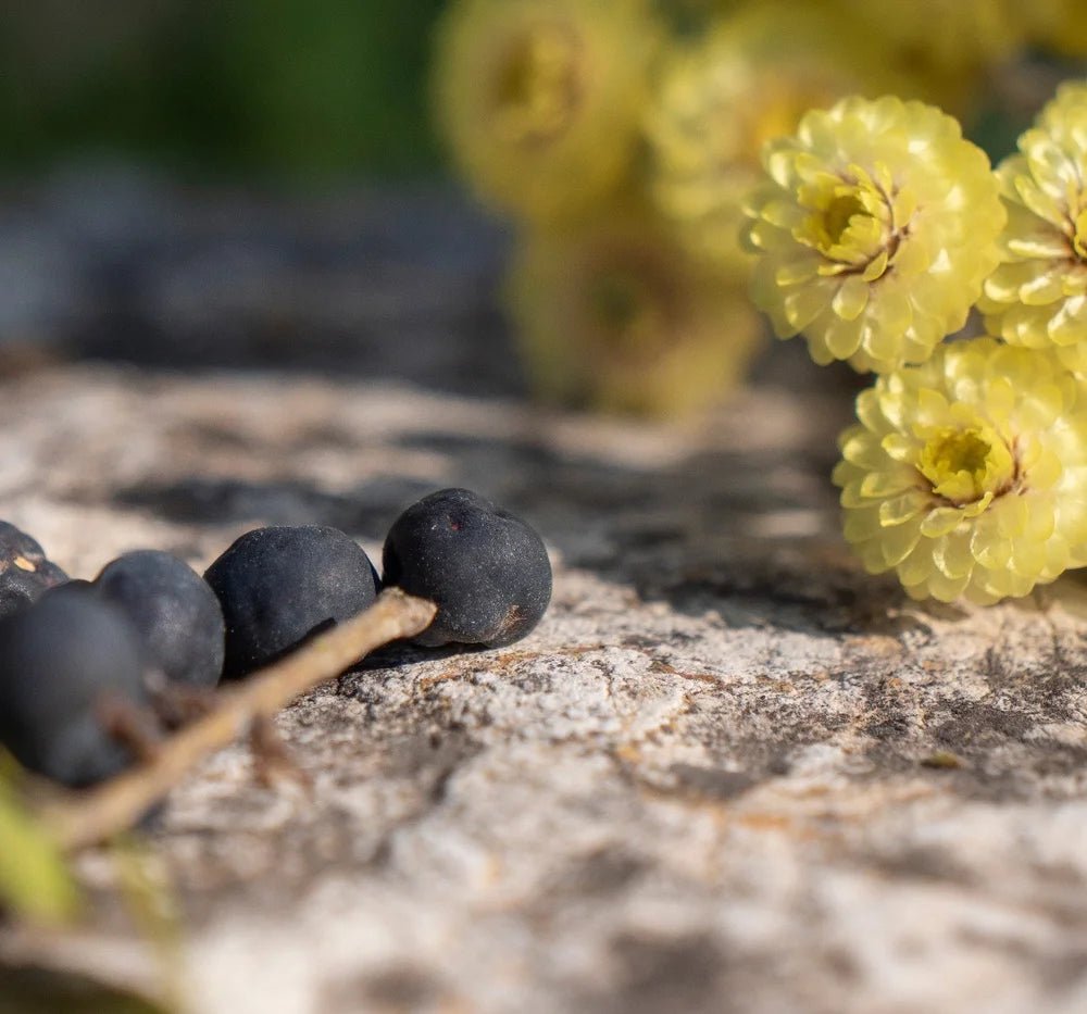 C5 - Cédrat Myrte Immortelle - Blanda Beauty