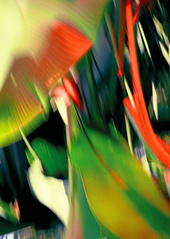 Vyrao バイラオ ハイファイブセット 香水 5本セット HIGH FIVE Vyrao / バイラオ】Hi Five Set ハイファイブセット (コスメ/香水