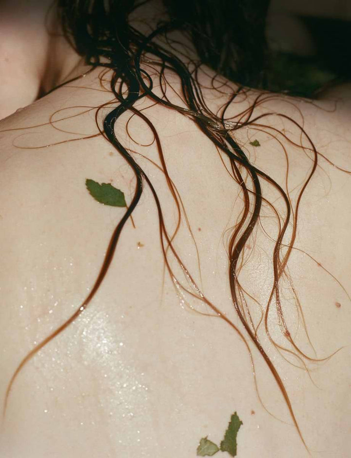 Wild Woods Moisture Wash - Skin