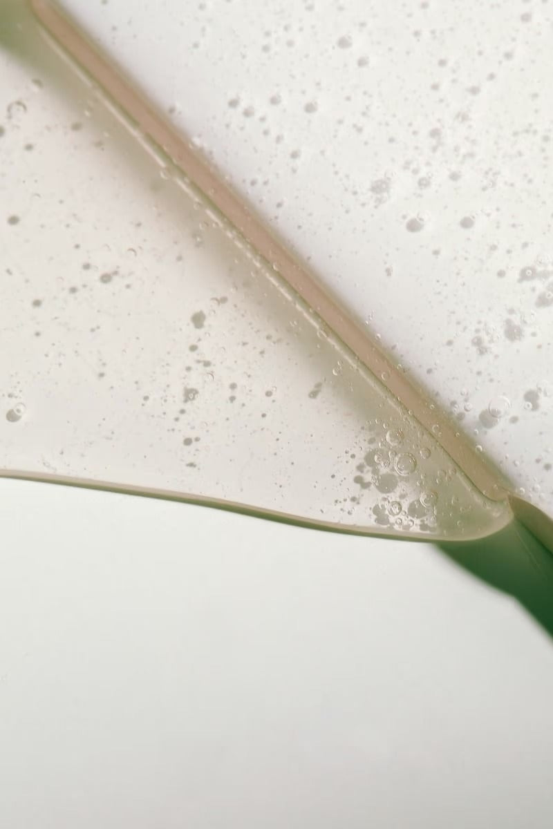 Wild Woods Moisture Wash - Texture