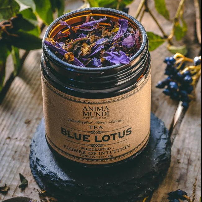 Anima Mundi Lotus Bleu : Thé Fleur d'Intuition - pot ouvert