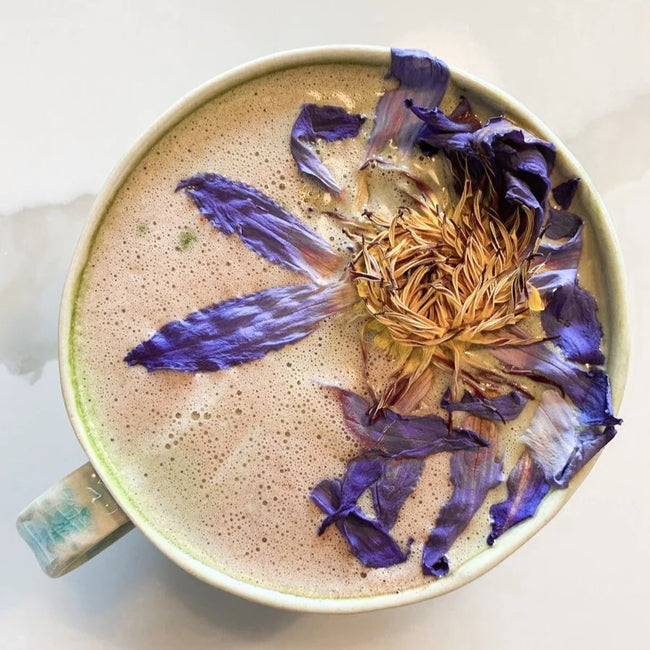 Anima Mundi Blue Lotus: Flower of Intuition Tea - tea cup