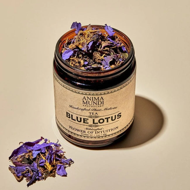 Anima Mundi Loto Azul: Té Flor de la Intuición - tarro abierto con fondo beige