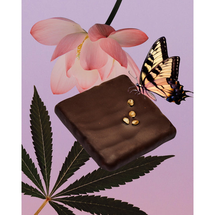 Cosmic Dealer Coffret 7 Chakra Chocolats Mood Beurre de Chanvre II