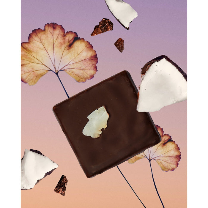 Chakra Chocolate Toasted Coconut - Mood Coconut