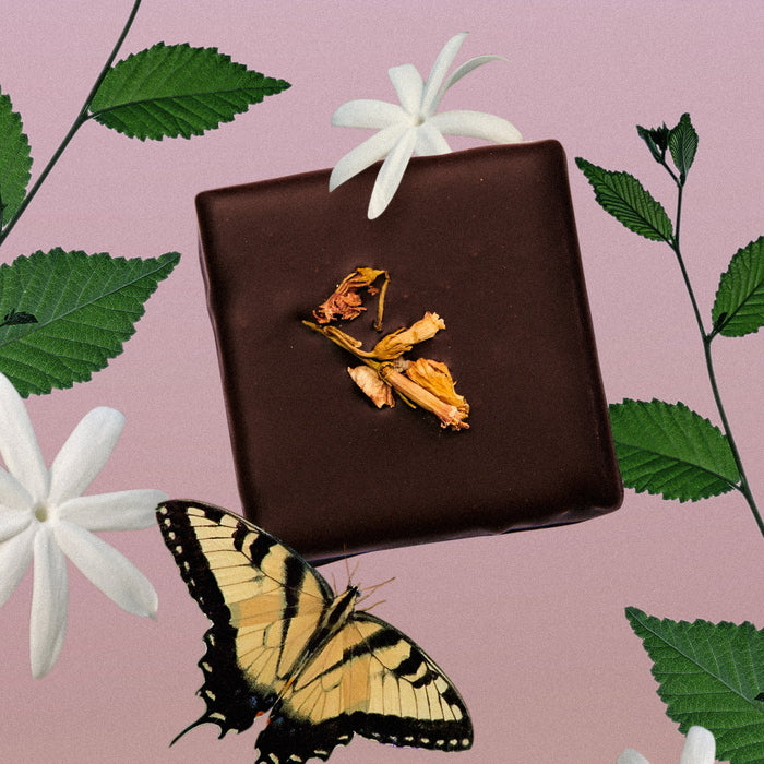 Box of 20 Chakra Chocolates Mint Jasmine Mood