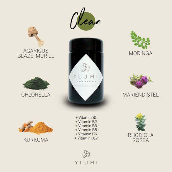 Ylumi Clean capsules 60 pieces - ingredients